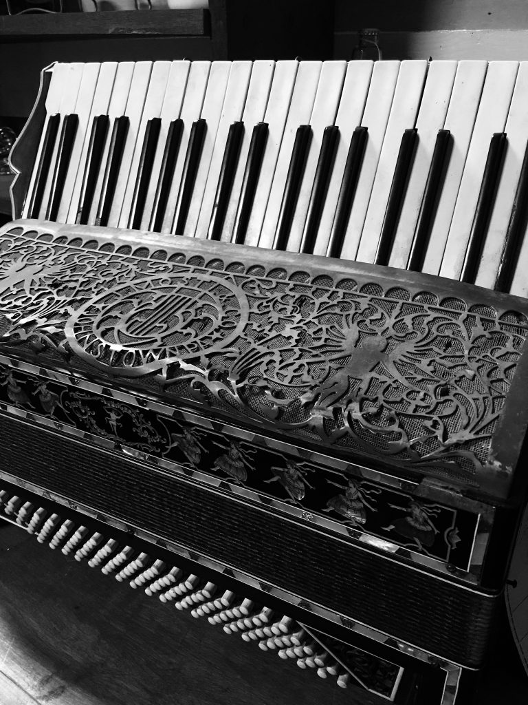 an antique accordion collects dust in an antique shop.